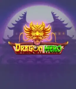 Embark on a fantastic quest with Dragon Hero by Pragmatic Play, highlighting stunning graphics of ancient dragons and heroic battles. Venture into a realm where magic meets thrill, with featuring treasures, mystical creatures, and enchanted weapons for a mesmerizing adventure.