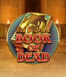 Embark on the thrilling world of Book of Dead by Play'n GO, presenting vivid graphics of Rich Wilde’s adventurous journey through ancient Egyptian tombs and artifacts. Uncover lost riches with exciting mechanics like free spins, expanding icons, and a gamble option. Ideal for those seeking adventure with a desire for thrilling discoveries.